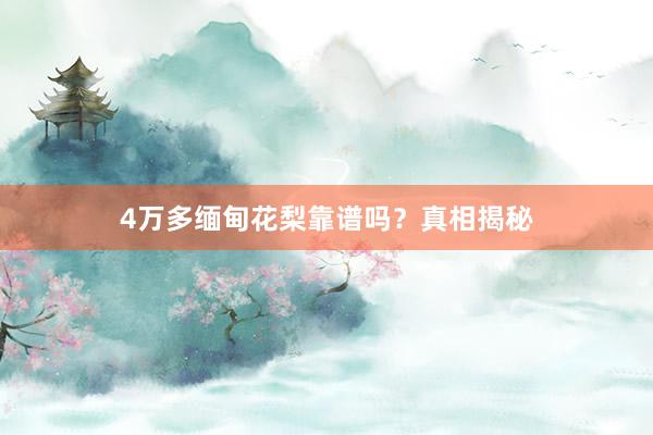 4万多缅甸花梨靠谱吗？真相揭秘