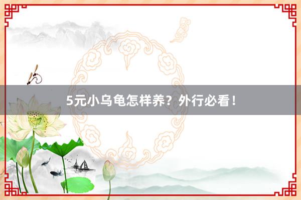 5元小乌龟怎样养？外行必看！