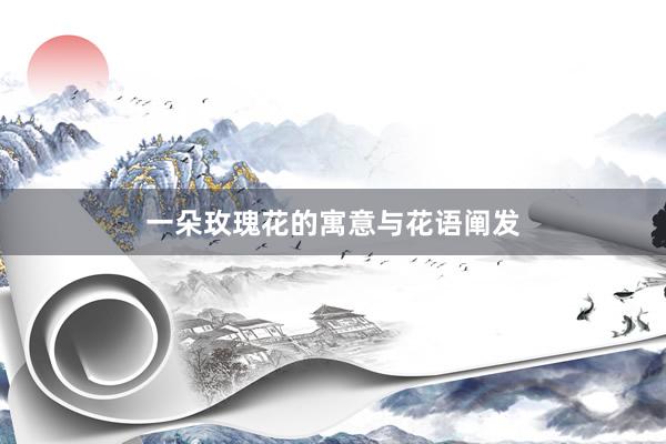一朵玫瑰花的寓意与花语阐发