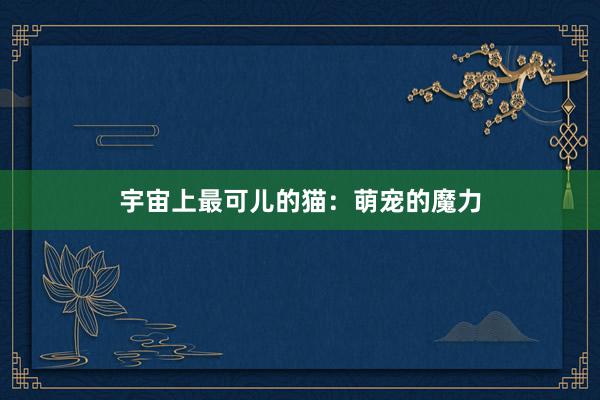 宇宙上最可儿的猫：萌宠的魔力